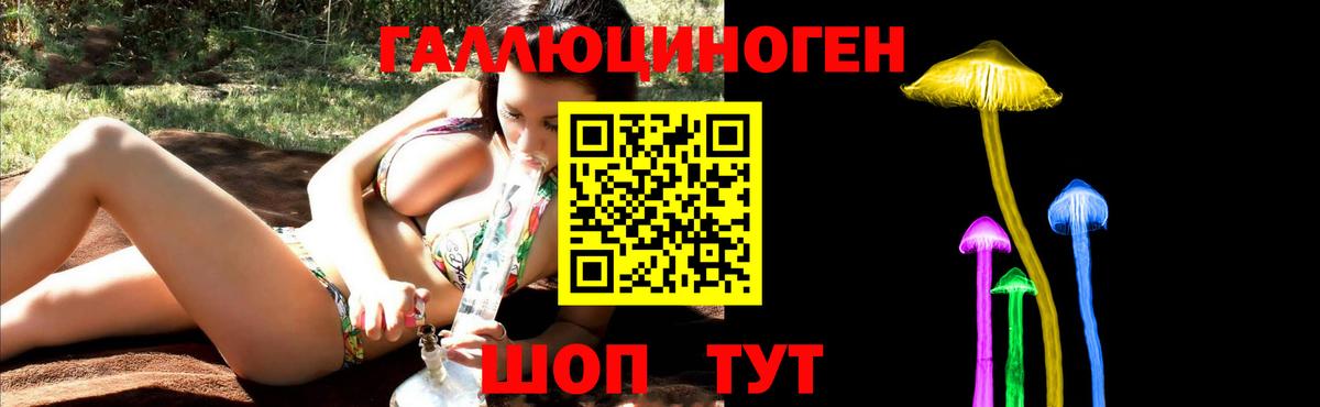 Псилоцибиновые грибы Psilocybe  закладки  Тимашёвск  Вход с VPN 